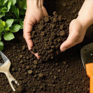 Effective DIY Gardening Tips for Growing Minerals & Enhancing Soil Health